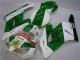 CBR 1000 RR 04-05 - Verde Blanco