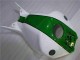 CBR 1000 RR 04-05 - Verde Blanco
