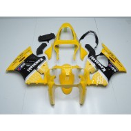 ZX6R 00-02 - Amarillo Arrow