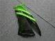 ZX6R 09-12 - Negro Verde 3M Touch4