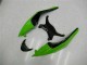 ZX6R 09-12 - Negro Verde Roja