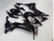 ZX10R 08-10 - Brillante Negro ZX10R 08-10 - Brillante Negro