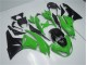 ZX6R 09-12 - Verde Negro