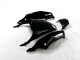 ZX14R ZZR 1400 12-21 - Negro Verde