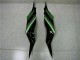 ZX6R 13-18 - Negro Verde