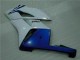 CBR 1000 RR 04-05 - Blanco Azul