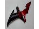 R1 02-03 - Negro Rojo