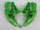 GSXR 1000 K5 05-06 - Verde